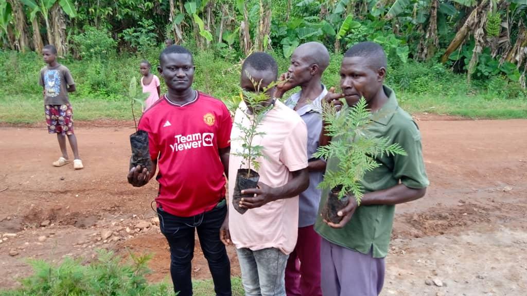 Sustainable farming